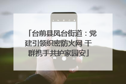 台前县凤台街道：党建引领织密防火网 干群携手共护家园安