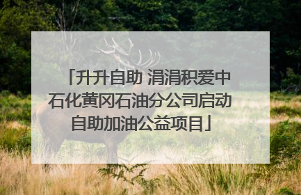升升自助 涓涓积爱中石化黄冈石油分公司启动自助加油公益项目