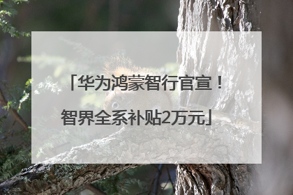 华为鸿蒙智行官宣！智界全系补贴2万元
