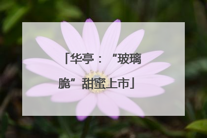 华亭：“玻璃脆”甜蜜上市