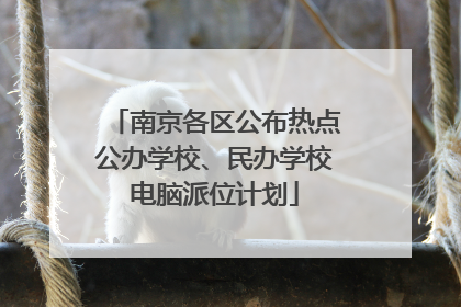 南京各区公布热点公办学校、民办学校电脑派位计划