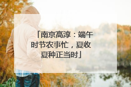 南京高淳：端午时节农事忙，夏收夏种正当时