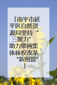 南平市延平区自然资源局坚持“三聚力” 助力擎画集体林权改革“新图景”