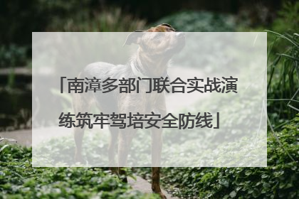 南漳多部门联合实战演练筑牢驾培安全防线