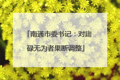 南通市委书记：对庸碌无为者果断调整