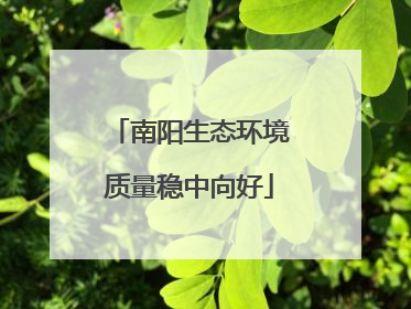 南阳生态环境质量稳中向好