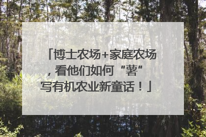 博士农场+家庭农场，看他们如何“薯” 写有机农业新童话！