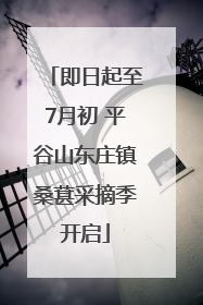 即日起至7月初 平谷山东庄镇桑葚采摘季开启