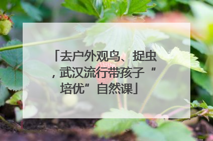 去户外观鸟、捉虫，武汉流行带孩子“培优”自然课
