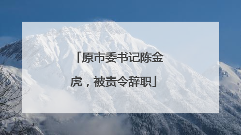 原市委书记陈金虎，被责令辞职
