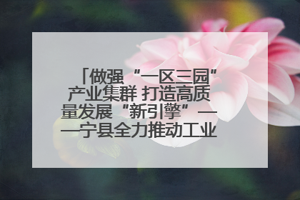 做强“一区三园”产业集群 打造高质量发展“新引擎”——宁县全力推动工业经济提质增效