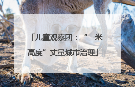 儿童观察团：“一米高度”丈量城市治理