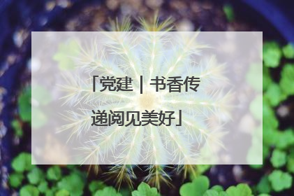 党建｜书香传递阅见美好