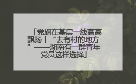 党旗在基层一线高高飘扬丨“去有村的地方”——湖南有一群青年党员这样选择