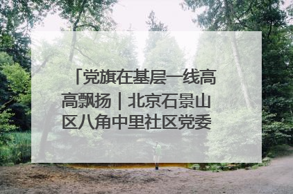 党旗在基层一线高高飘扬｜北京石景山区八角中里社区党委：用脚步丈量民生