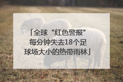 全球“红色警报”  每分钟失去18个足球场大小的热带雨林