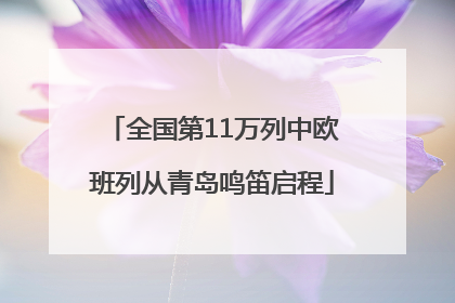 全国第11万列中欧班列从青岛鸣笛启程