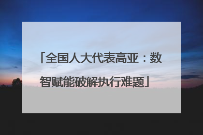 全国人大代表高亚：数智赋能破解执行难题