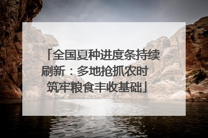 全国夏种进度条持续刷新：多地抢抓农时 筑牢粮食丰收基础