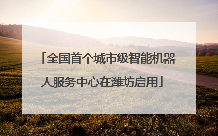 全国首个城市级智能机器人服务中心在潍坊启用