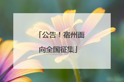 公告！宿州面向全国征集