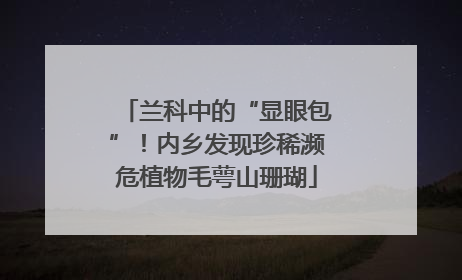 兰科中的“显眼包”！内乡发现珍稀濒危植物毛萼山珊瑚
