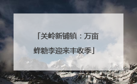关岭新铺镇：万亩蜂糖李迎来丰收季