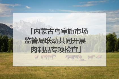 内蒙古乌审旗市场监管局联动共同开展肉制品专项检查