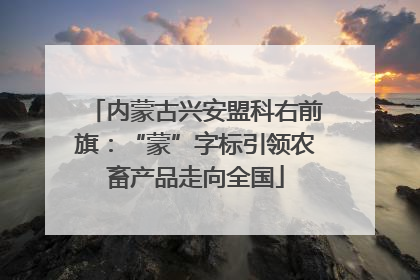 内蒙古兴安盟科右前旗：“蒙”字标引领农畜产品走向全国