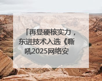 再显硬核实力，东进技术入选《嘶吼2025网络安全产业图谱》