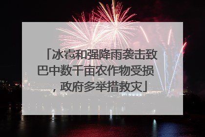 冰雹和强降雨袭击致巴中数千亩农作物受损，政府多举措救灾