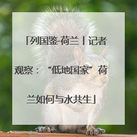 列国鉴·荷兰丨记者观察：“低地国家”荷兰如何与水共生