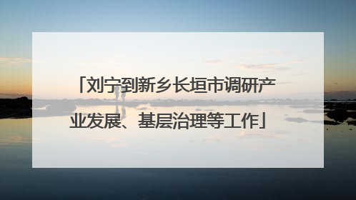 刘宁到新乡长垣市调研产业发展、基层治理等工作