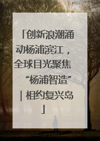 创新浪潮涌动杨浦滨江，全球目光聚焦“杨浦智造”｜相约复兴岛