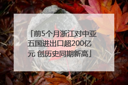 前5个月浙江对中亚五国进出口超200亿元 创历史同期新高