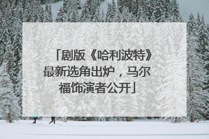 剧版《哈利波特》最新选角出炉，马尔福饰演者公开
