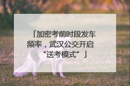 加密考前时段发车频率，武汉公交开启“送考模式”