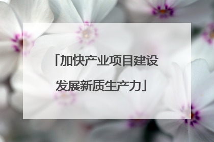 加快产业项目建设 发展新质生产力