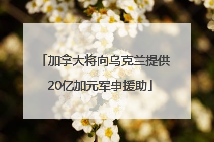 加拿大将向乌克兰提供20亿加元军事援助