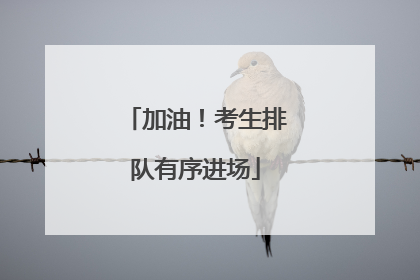 加油！考生排队有序进场
