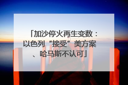 加沙停火再生变数：以色列“接受”美方案、哈马斯不认可