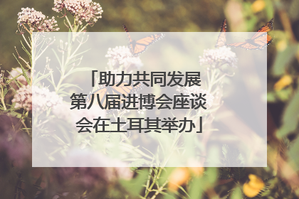 助力共同发展 第八届进博会座谈会在土耳其举办