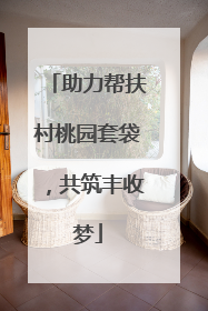 助力帮扶村桃园套袋，共筑丰收梦