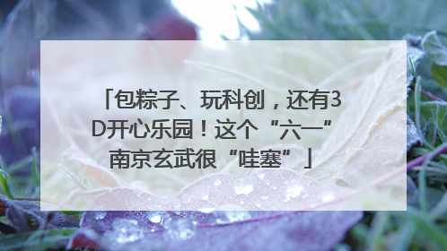 包粽子、玩科创，还有3D开心乐园！这个“六一”南京玄武很“哇塞”