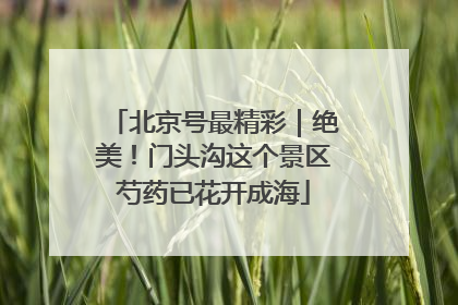 北京号最精彩｜绝美！门头沟这个景区芍药已花开成海