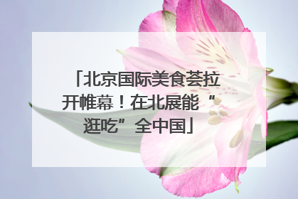 北京国际美食荟拉开帷幕！在北展能“逛吃”全中国