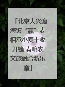 北京大兴瀛海镇“瀛”麦相承小麦丰收开镰 奏响农文旅融合新乐章