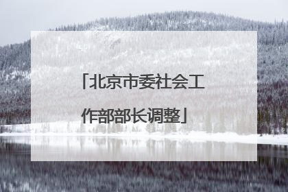 北京市委社会工作部部长调整