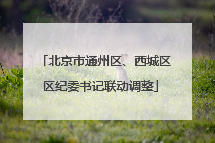 北京市通州区、西城区区纪委书记联动调整