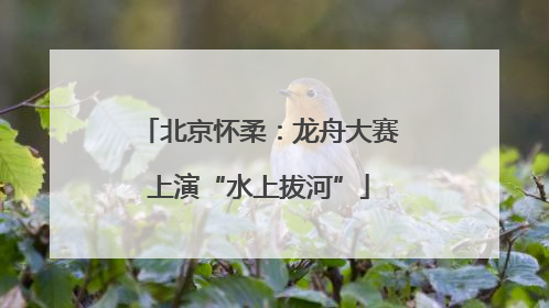北京怀柔：龙舟大赛上演“水上拔河”